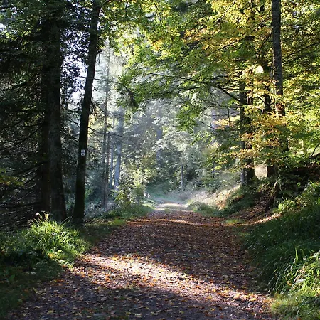Confortable En Pleine Nature Avec Cheminée Et Accès Direct Aux Sentiers, Proche Et - Fr-1-589-124 * Gérardmer