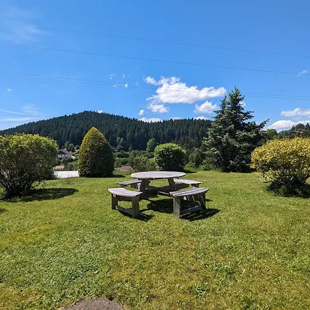 Confortable En Pleine Nature Avec Cheminée Et Accès Direct Aux Sentiers, Proche Et - Fr-1-589-124 * Gérardmer
