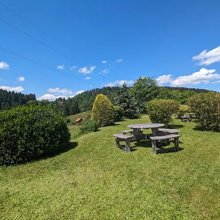 Confortable En Pleine Nature Avec Cheminee Et Acces Direct Aux Sentiers, Proche Et - Fr-1-589-124 Holiday home Gerardmer
