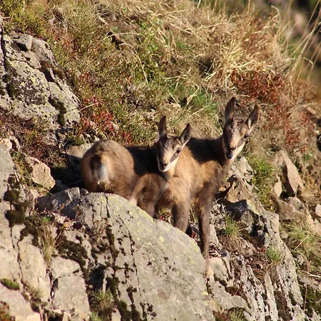 Dom wakacyjny Confortable En Pleine Nature Avec Cheminee Et Acces Direct Aux Sentiers, Proche Et - Fr-1-589-124 *