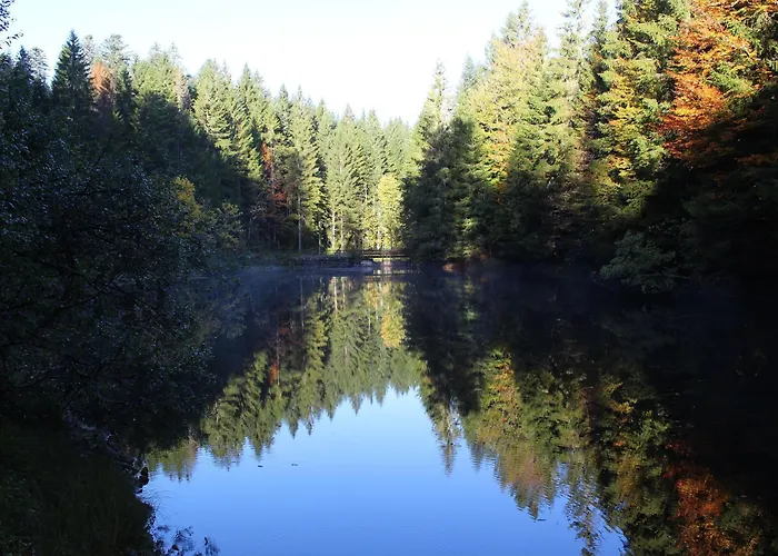 Confortable En Pleine Nature Avec Cheminee Et Acces Direct Aux Sentiers, Proche Et - Fr-1-589-124 Prázdninový dům