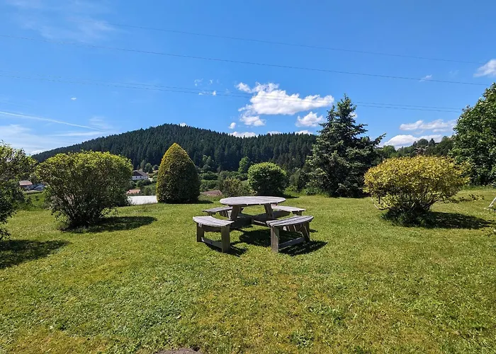 Confortable En Pleine Nature Avec Cheminee Et Acces Direct Aux Sentiers, Proche Et - Fr-1-589-124 * Gérardmer