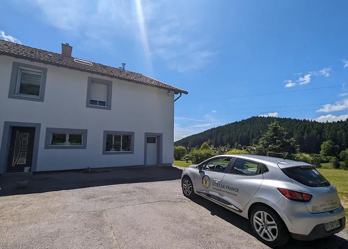 Confortable En Pleine Nature Avec Cheminee Et Acces Direct Aux Sentiers, Proche Et - Fr-1-589-124 * Gérardmer