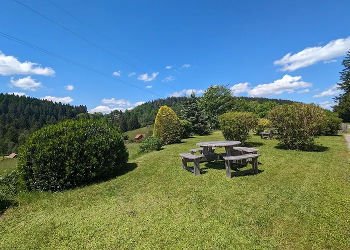 Confortable En Pleine Nature Avec Cheminee Et Acces Direct Aux Sentiers, Proche Et - Fr-1-589-124 Prázdninový dům Gérardmer