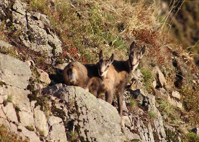 Prázdninový dům Confortable En Pleine Nature Avec Cheminee Et Acces Direct Aux Sentiers, Proche Et - Fr-1-589-124 *